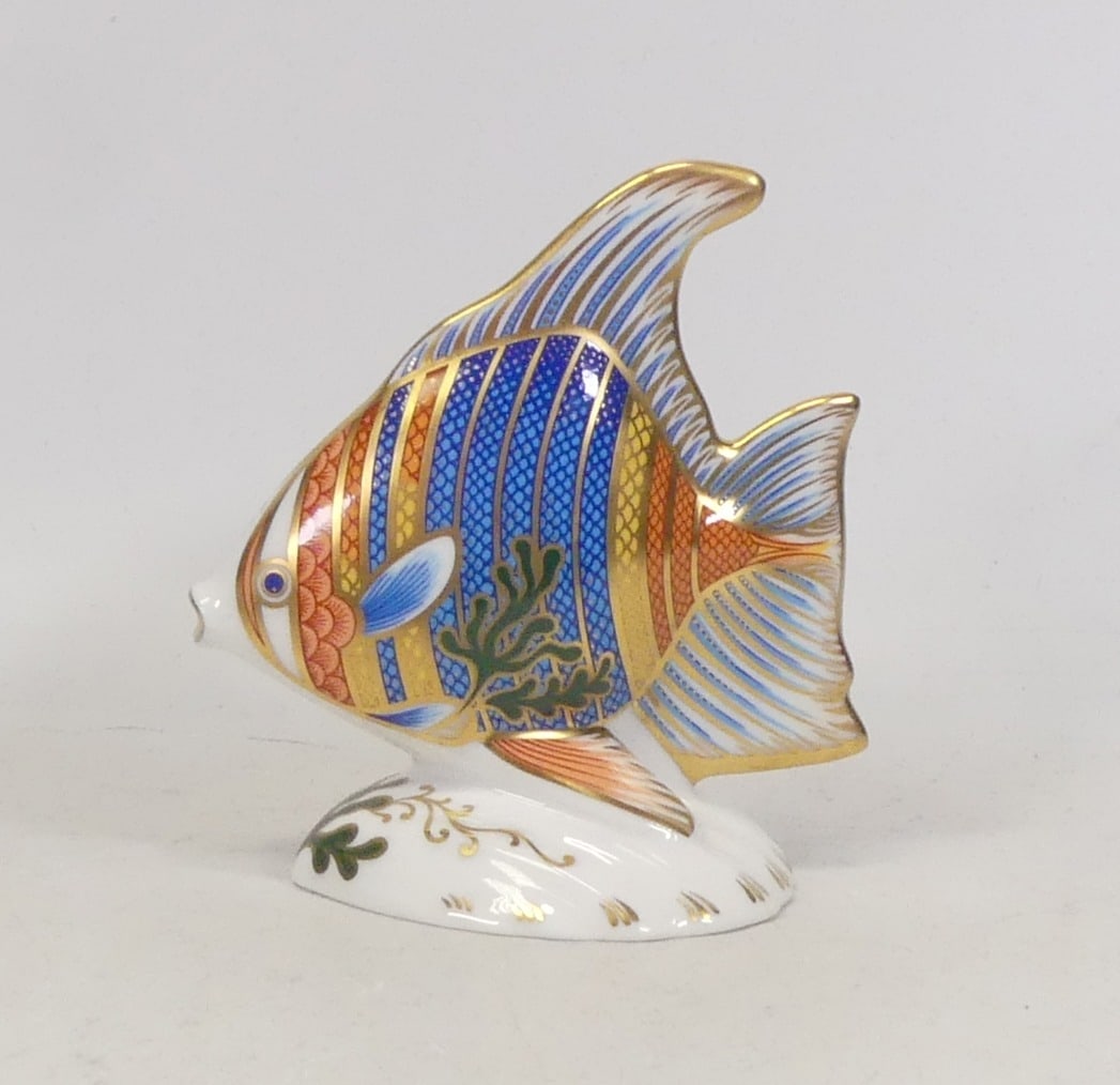 Royal Crown Derby, Pacific Angel Fish Paperweight. Gold Stopper.: Royal Crown Derby, Pacific Angel Fish Paperweight. Gold Stopper.