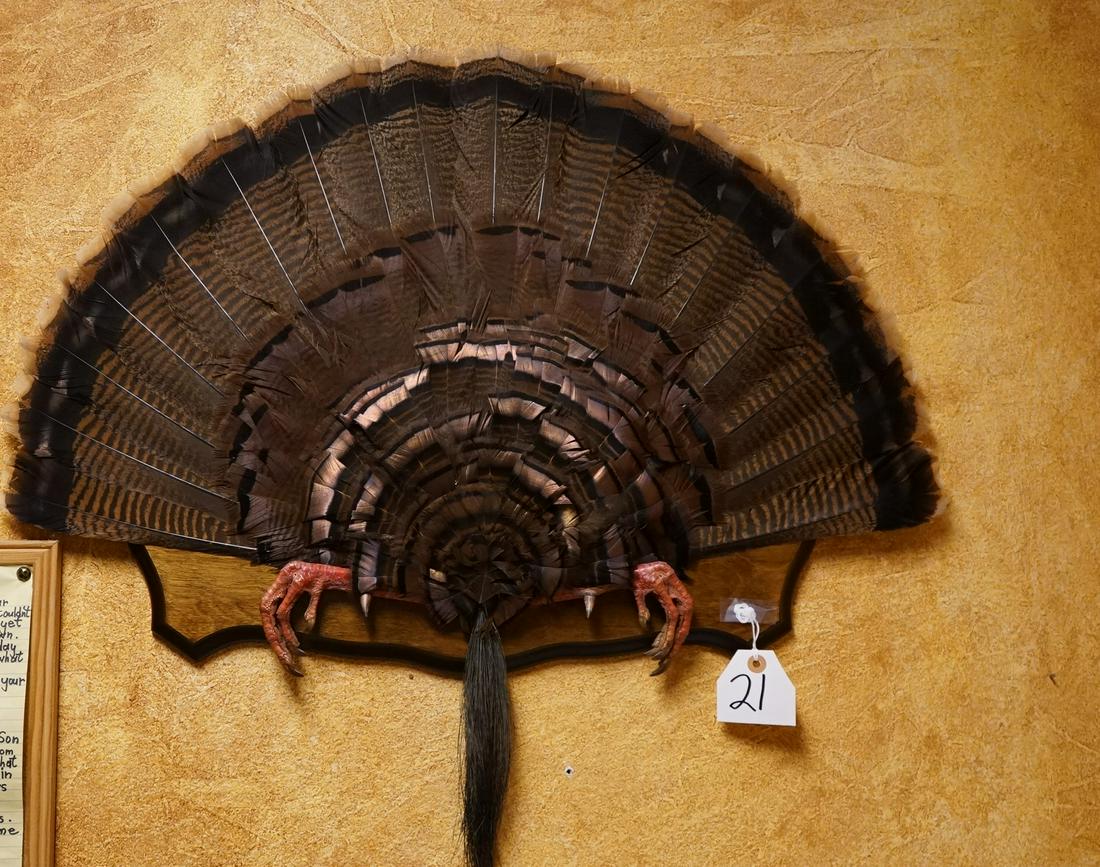 Wild Turkey Tail, Beard & Feet Mounted On Plaque Taxidermy Auction
