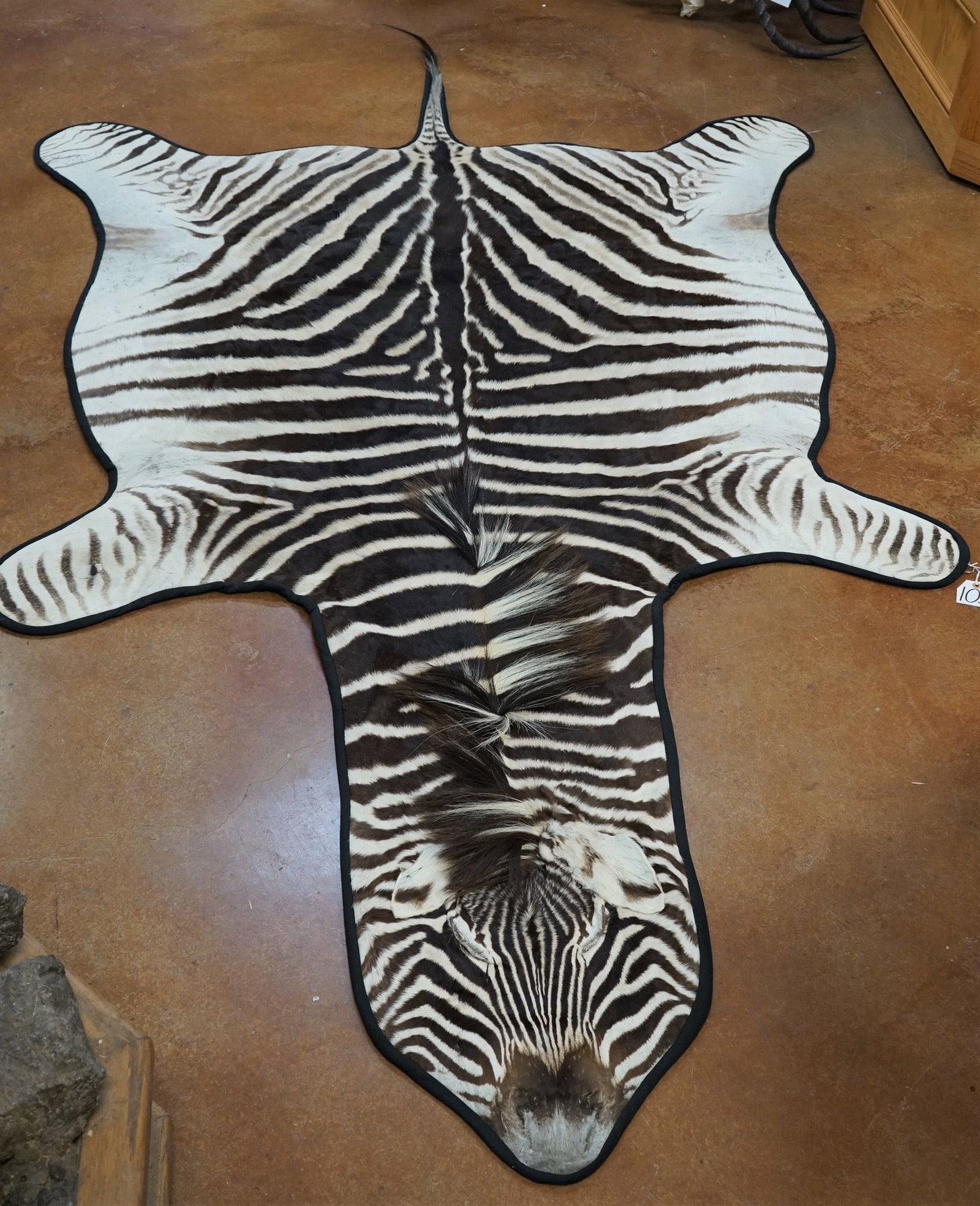 Beautiful Chapmans Zebra Rug Taxidermy Mount (1 of 5)