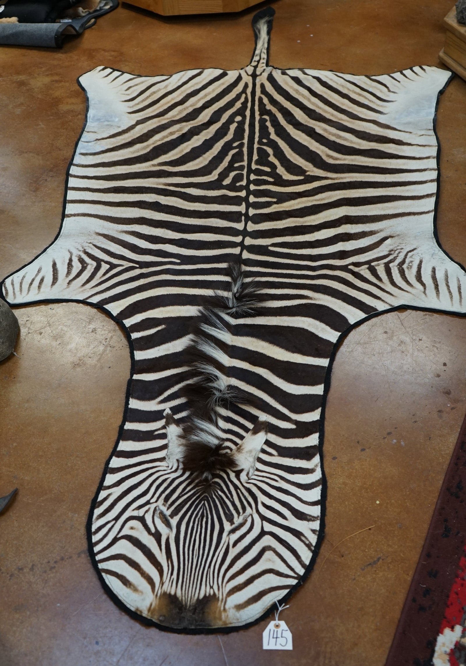 Large South African Zebra Rug Taxidermy Mount (1 of 2)