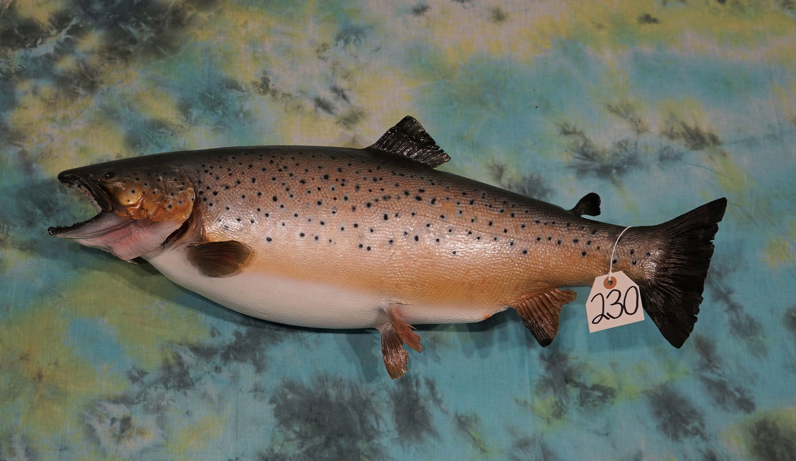 Monster! 30 1/2" Real Skin Trophy Brown Trout Taxidermy Fish Mount (1 of 2)