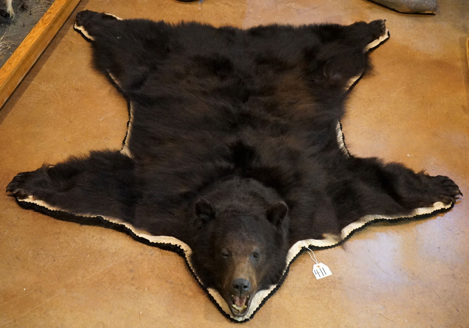 AAA+ Quality Black Bear Rug Taxidermy Mount (1 of 4)
