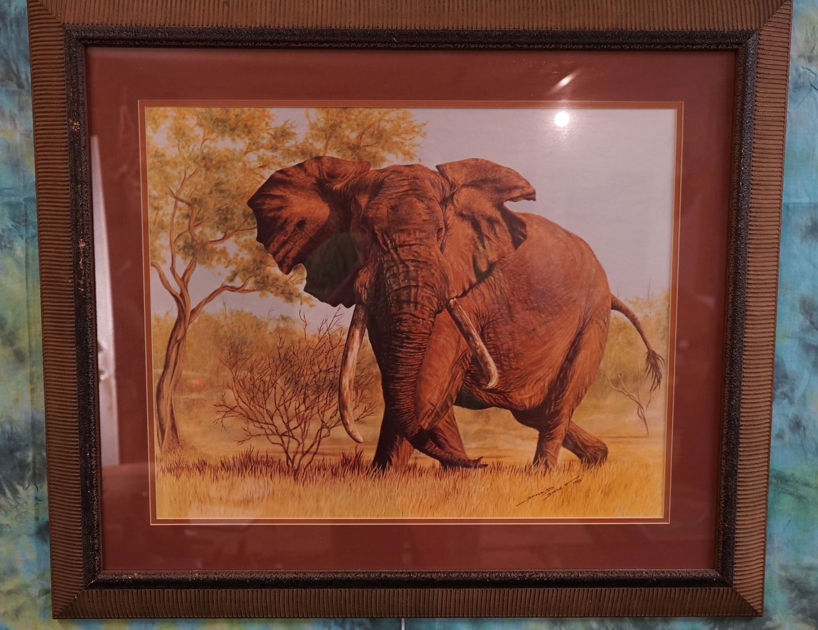 Famous Elephant Framed Print by Donald Barne II (1 of 2)