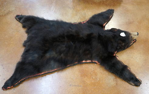 Black Bear Rug Taxidermy Mount: This Rug is an older one in good to fair condition. The rugging, tan, and taxidermy are fine but a dog bit off all the rear feet claws and got one on a front paw. Other than this the rug is in good sh