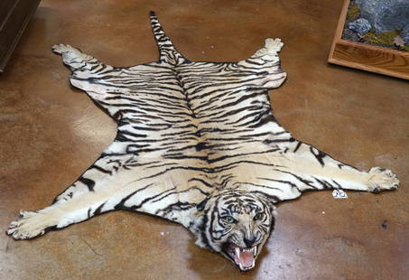 Bengal Tiger Rug Taxidermy Mount **TEXAS RESIDENTS ONLY!!**: This Rug is a older one, and is of younger male not quite fully mature. The Rug was mounted in India probably in the early 1960's. The mount was done using the real skull. The Rug has been professiona