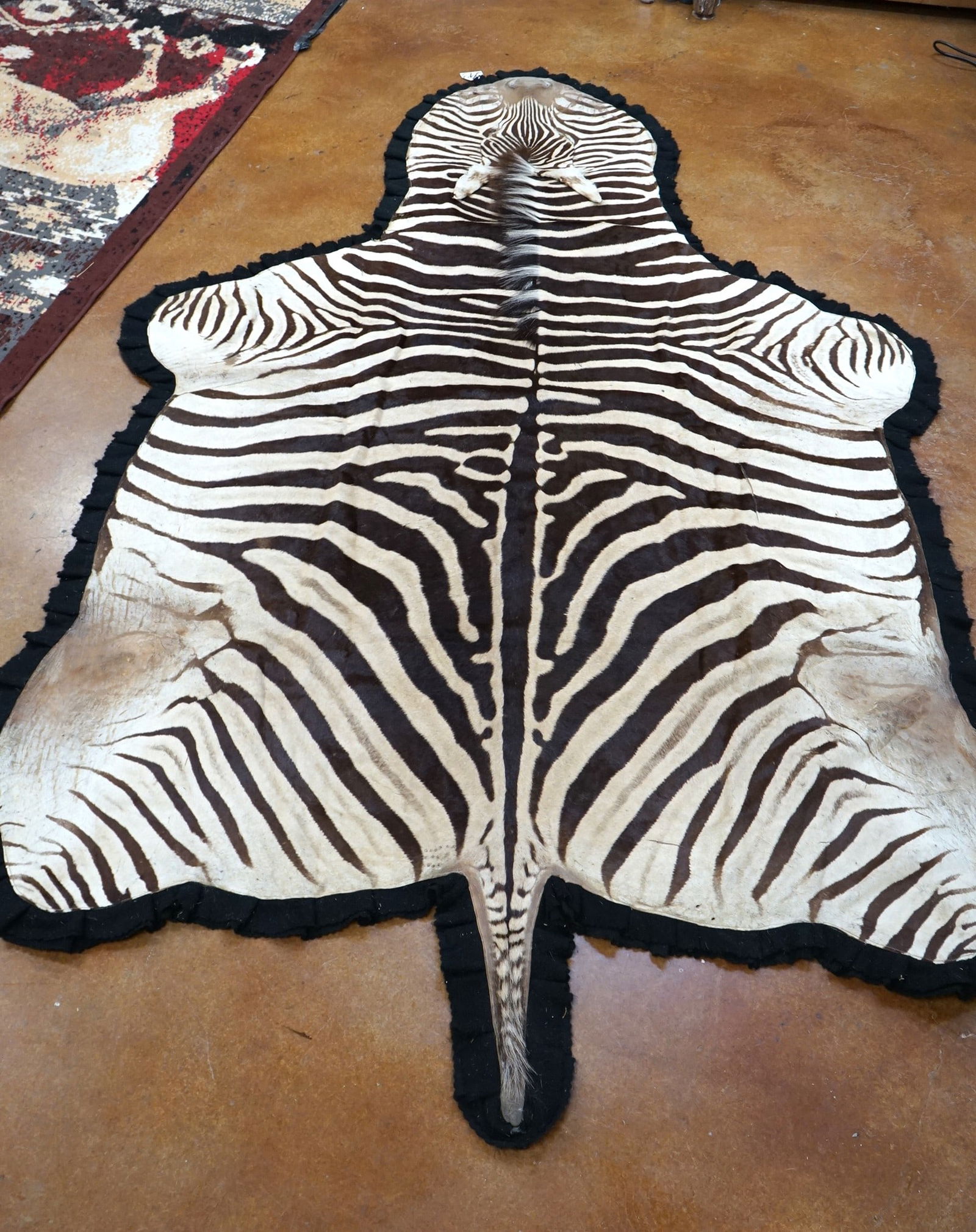 African Zebra Rug Taxidermy Mount (1 of 2)
