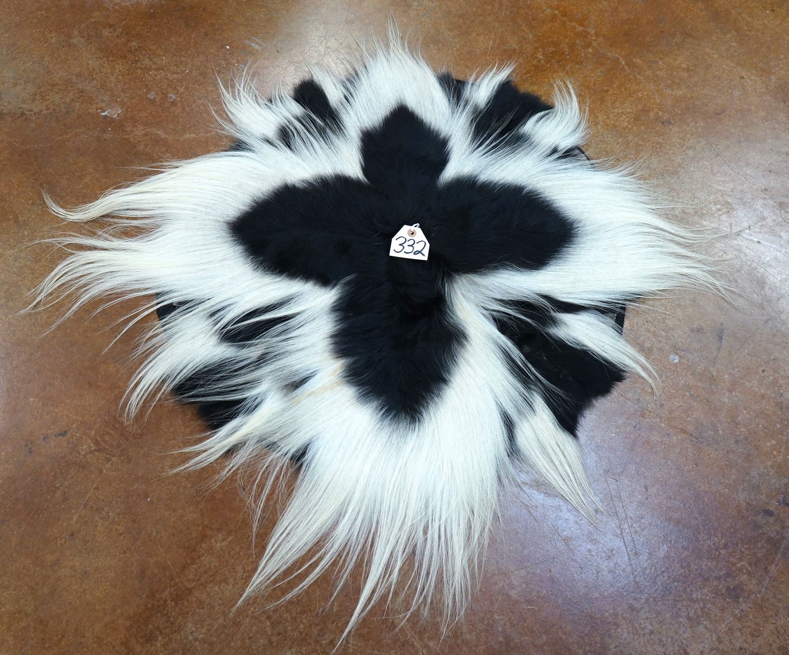 East African Colobus Monkey Backskin Circle Style Rug Taxidermy (1 of 2)