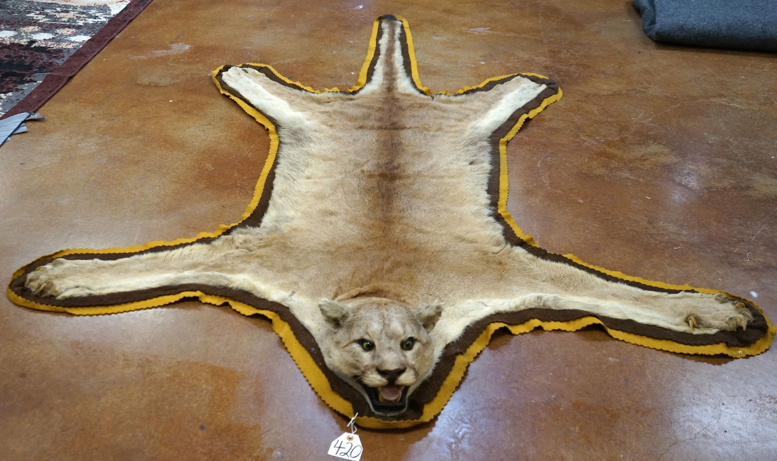 Mountain Lion Rug Taxidermy Mount (1 of 3)