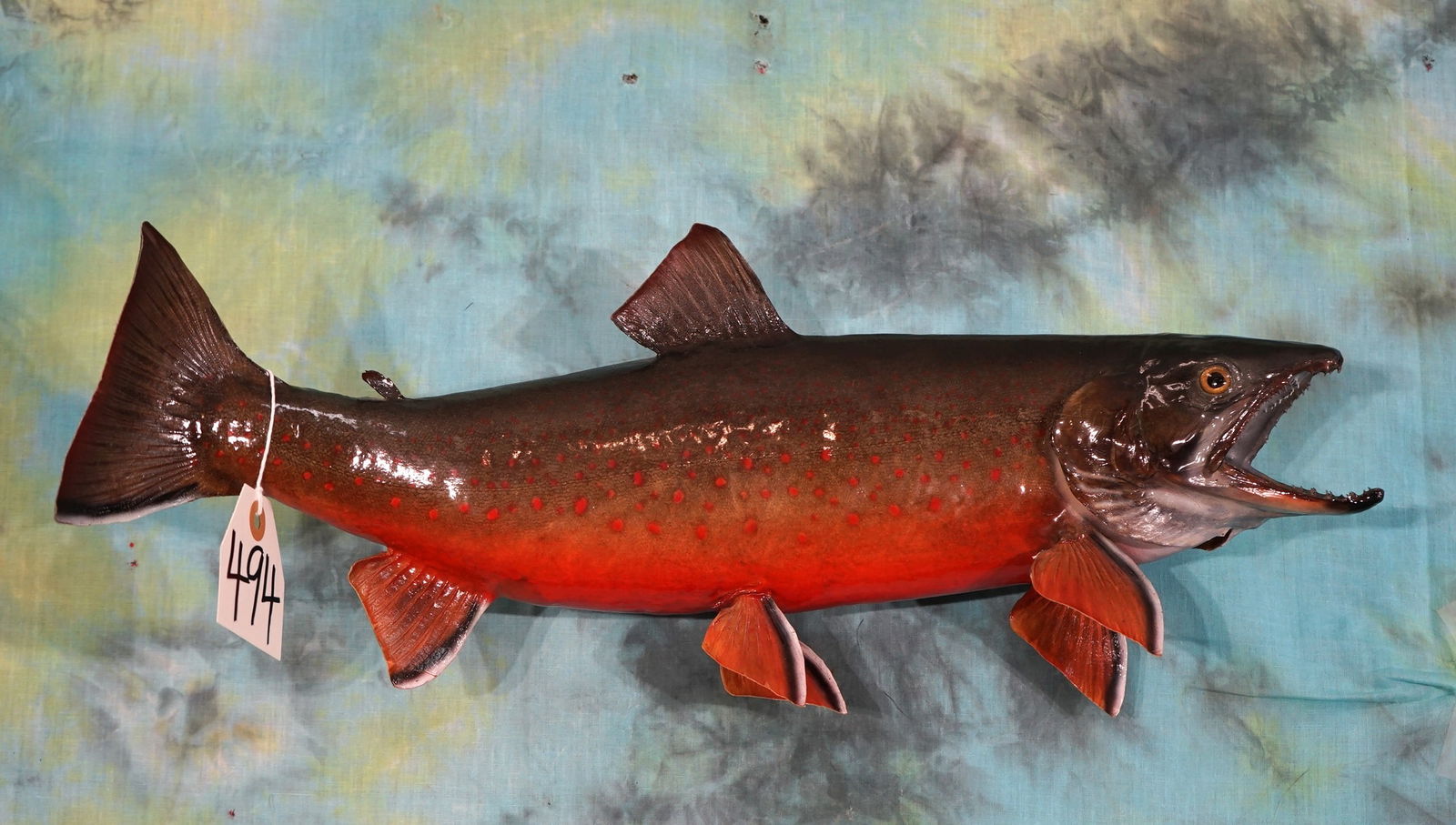 19" Real Skin Brook Trout Taxidermy Fish Mount: This beautiful Trout is in excellent condition with 9.75 taxidermy quality.