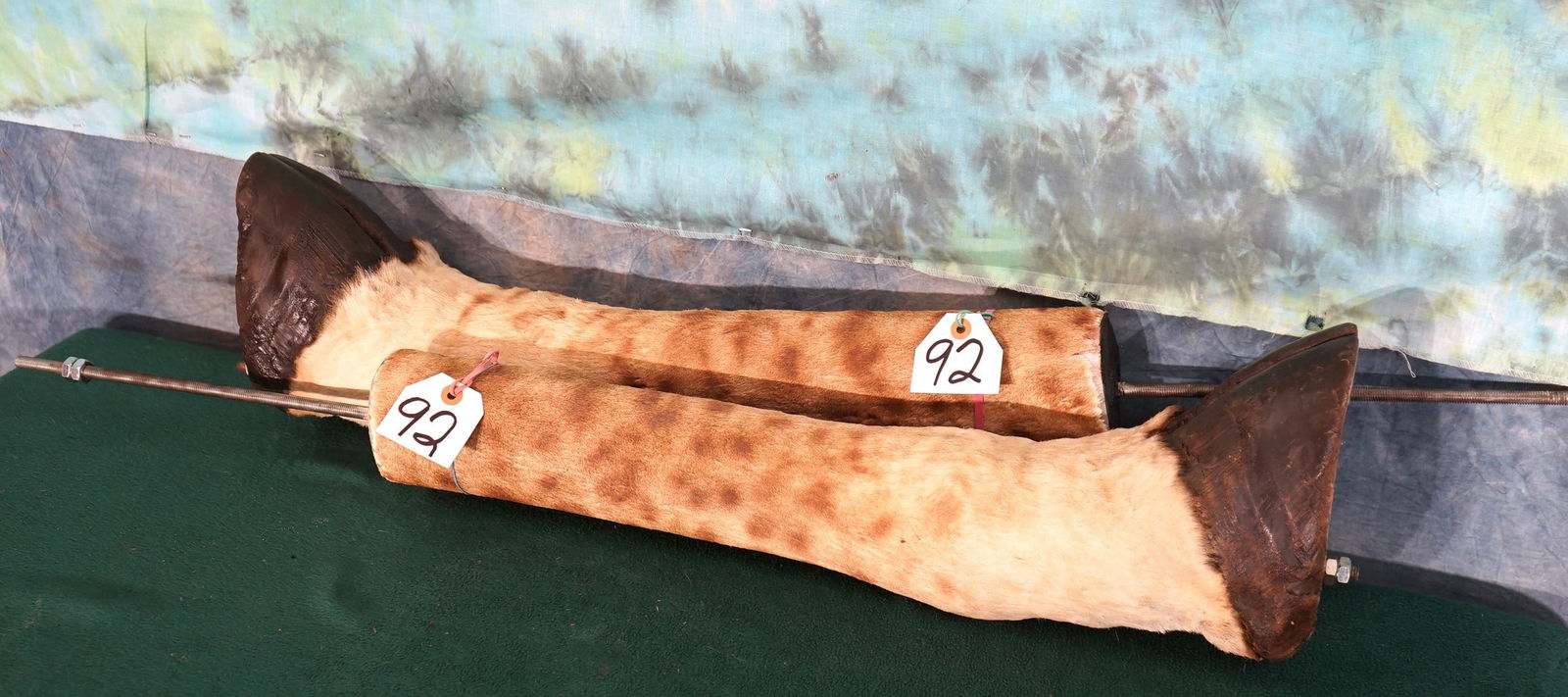 Pair of Mounted Giraffe Feet For Table Lamps (1 of 2)