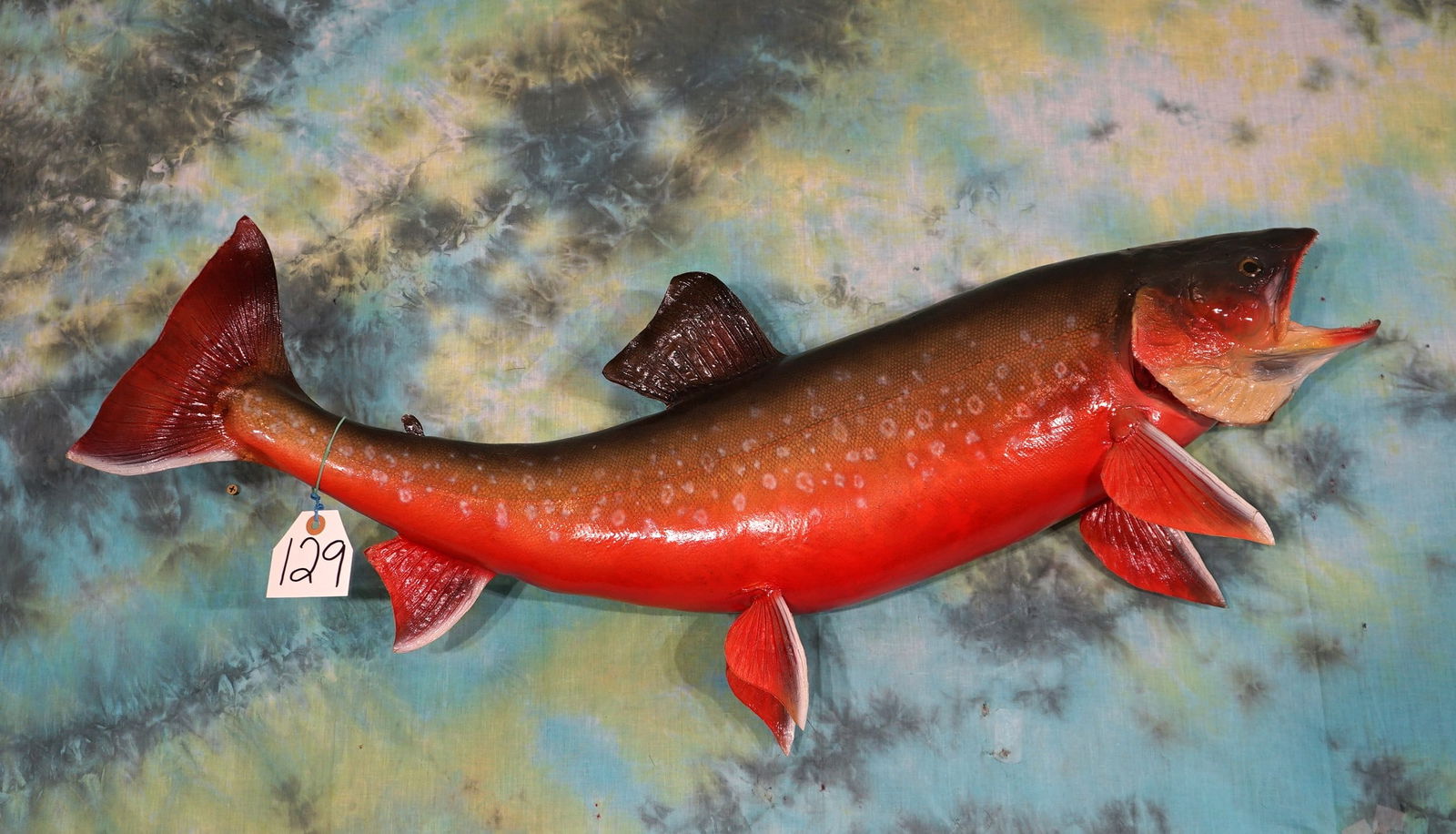 Gorgeous Arctic Char 36" Real Skin Taxidermy Fish Mount (1 of 2)