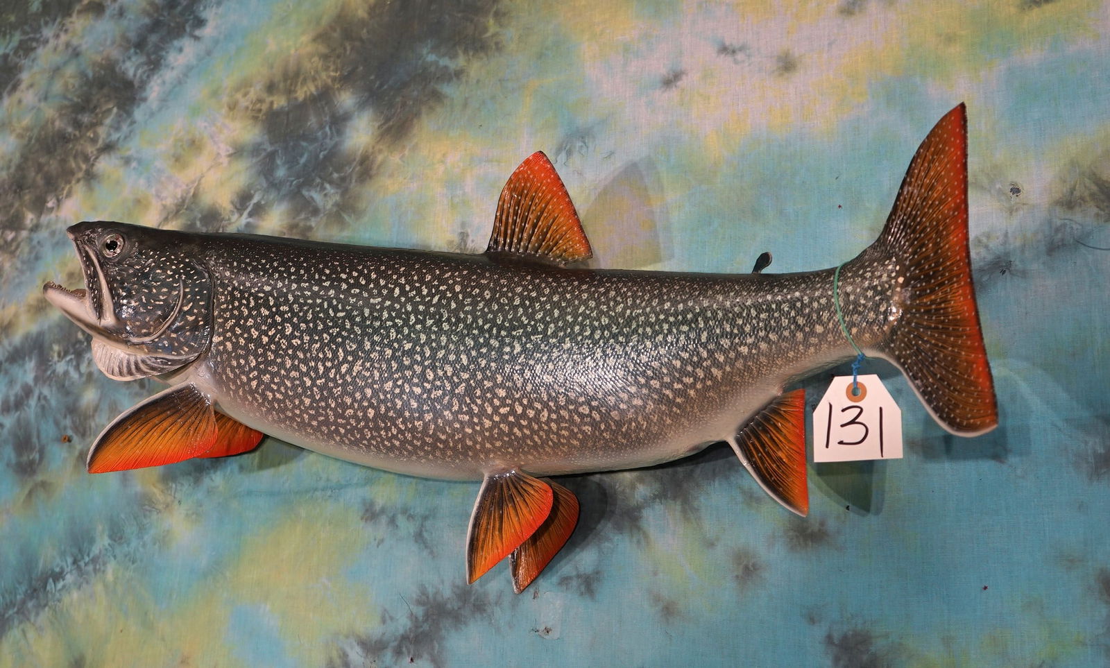 Beautiful 36" Lake Trout Real Skin Taxidermy Fish Mount (1 of 2)