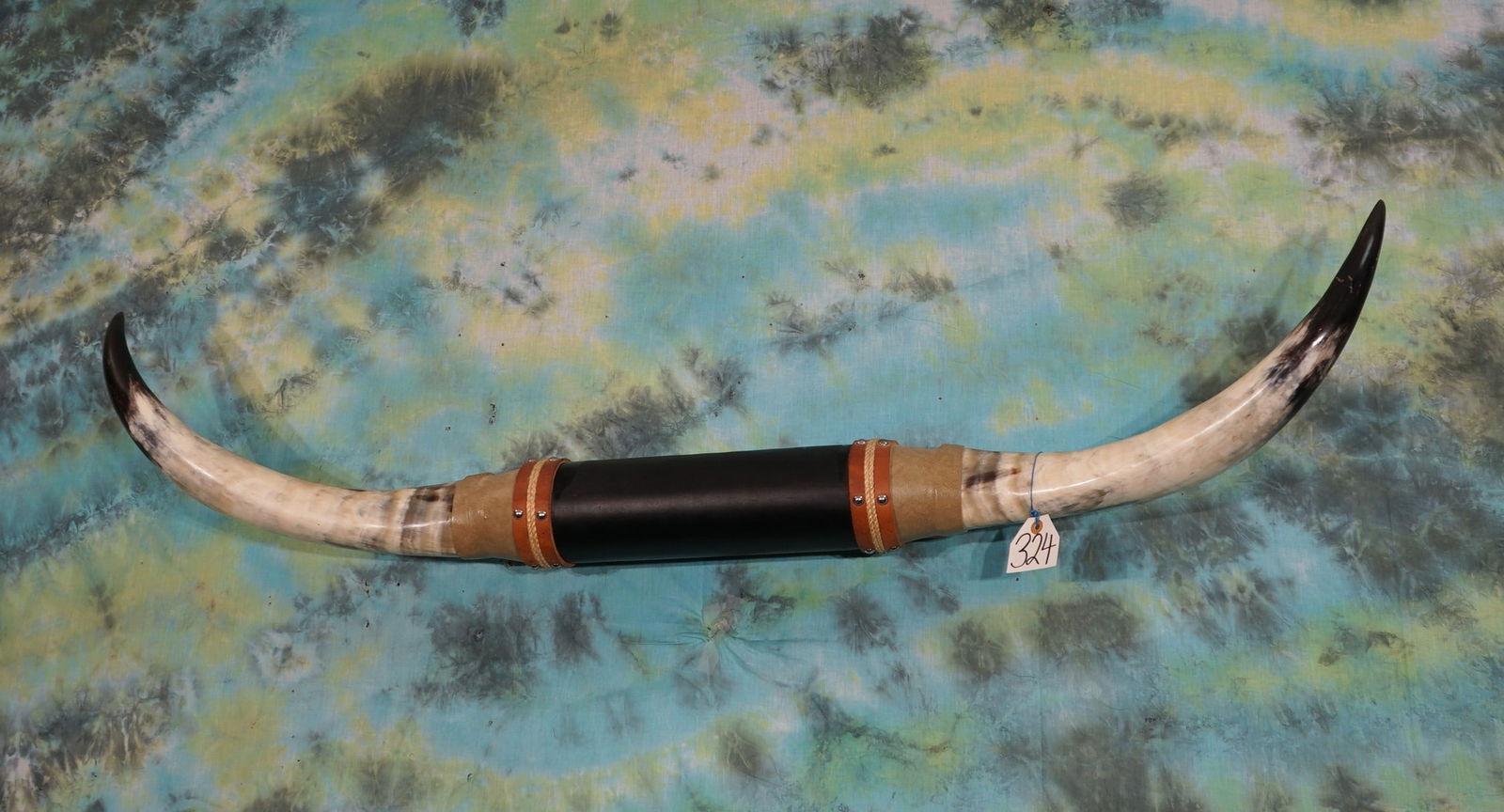 Mounted Steer Horns on Plaque Taxidermy (1 of 1)