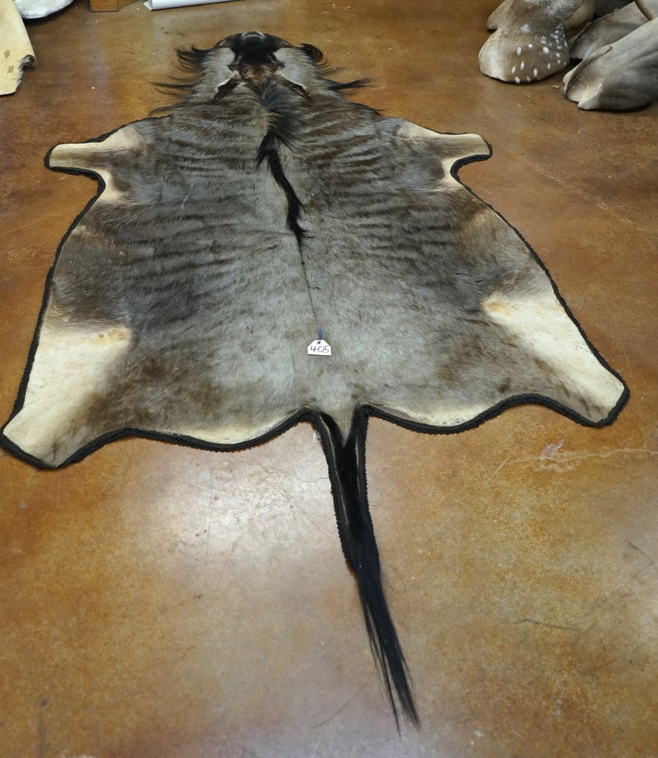 African Blue Wildebeest  Rug Taxidermy Mount (1 of 1)