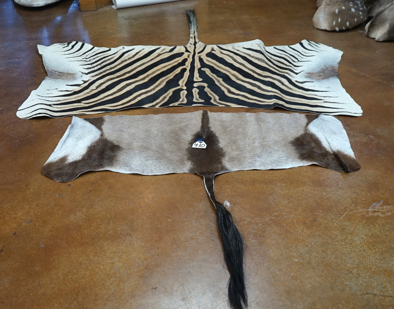 Partial Zebra & Gemsbuck Tanned Skins Taxidermy: These are beautiful African skins for decor or to make things with.