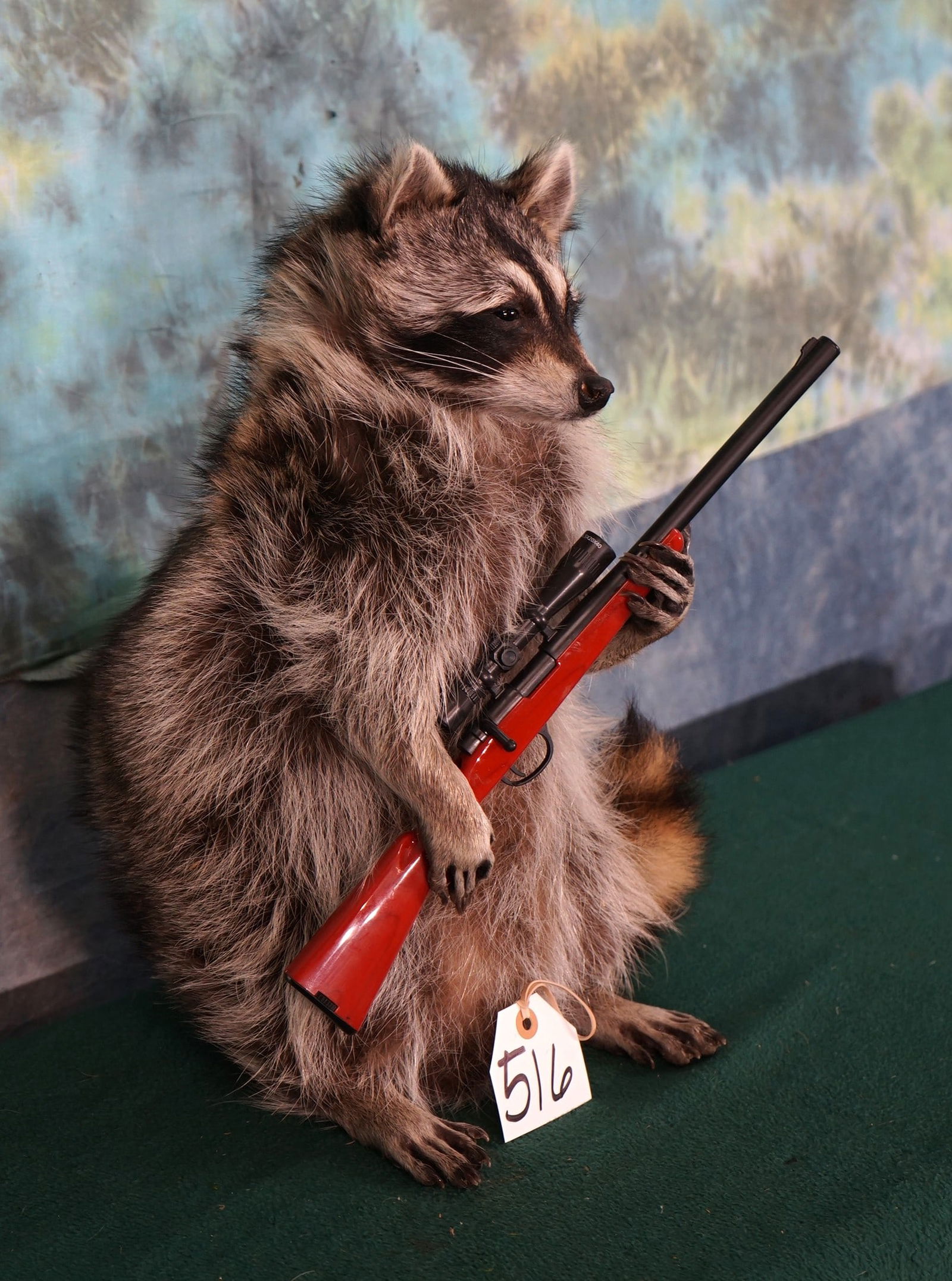 Brand New Full Body Raccoon Going Hunting Taxidermy Novelty Mount: This is a new mount that is clean and in excellent condition. This mount will turn some heads and get a lot of attention.