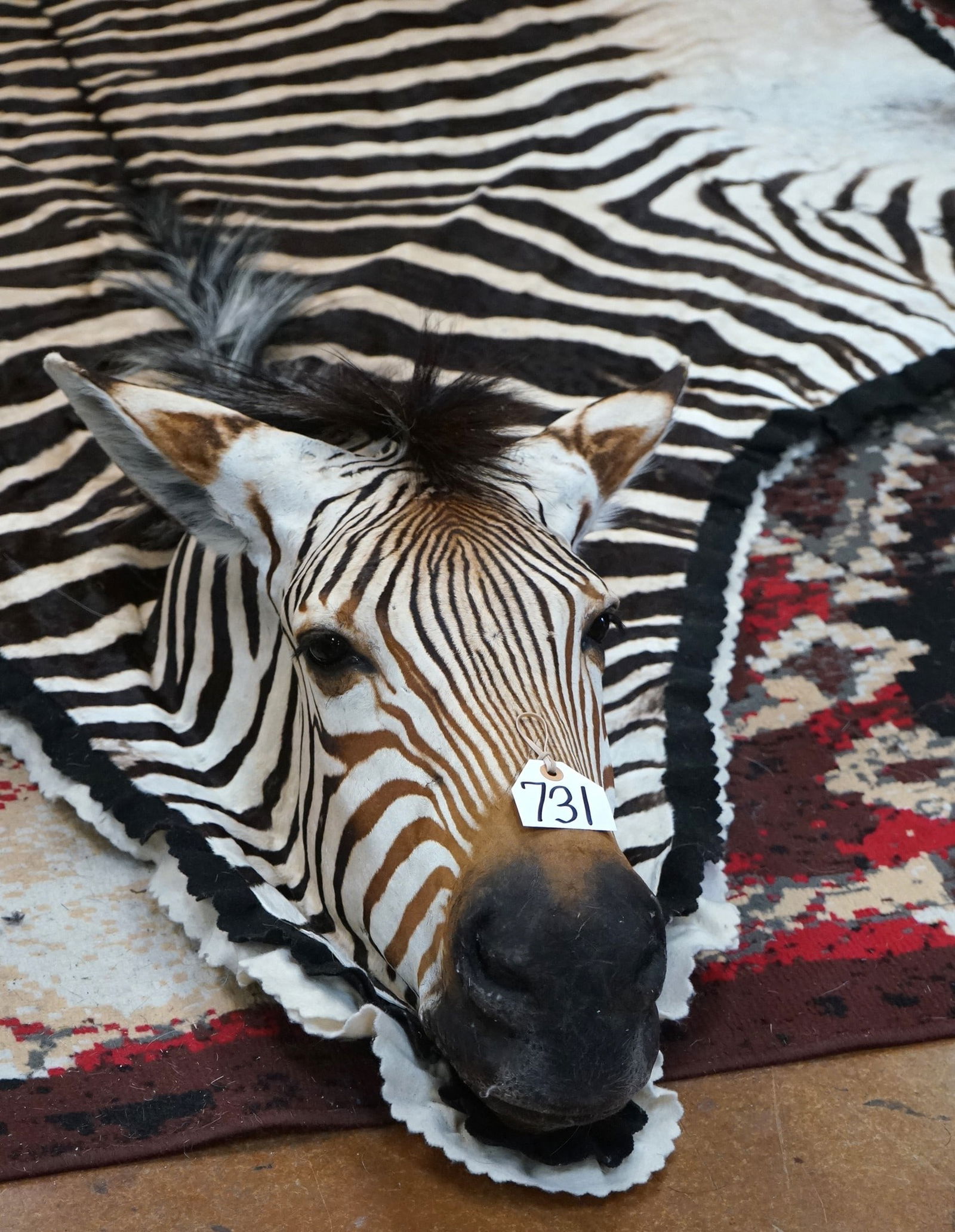 Beautiful Extra Large Zebra Rug Double Felted & Padded Taxidermy Mount (1 of 4)