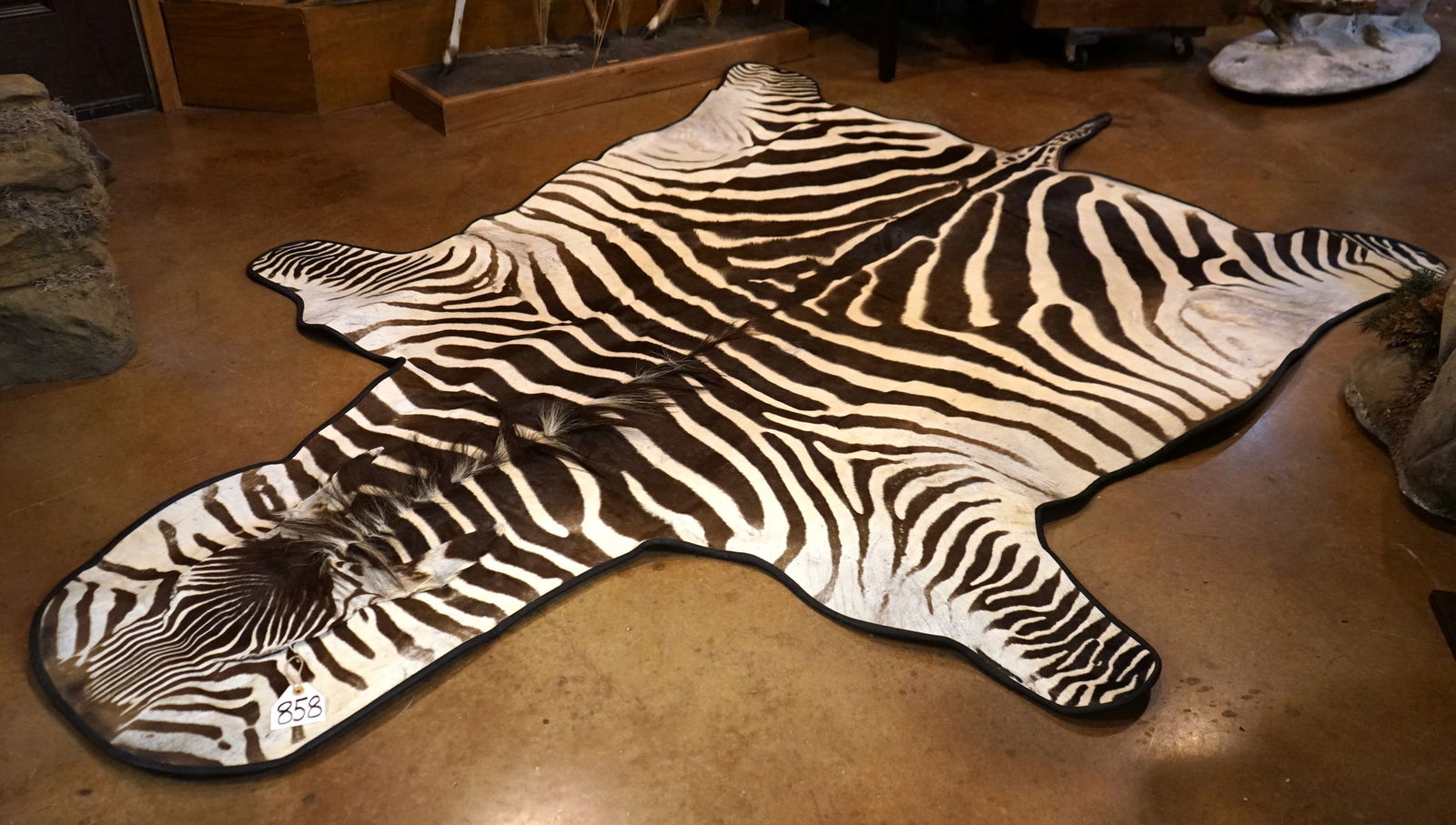 East African Grants Zebra Rug Taxidermy Mount (1 of 2)