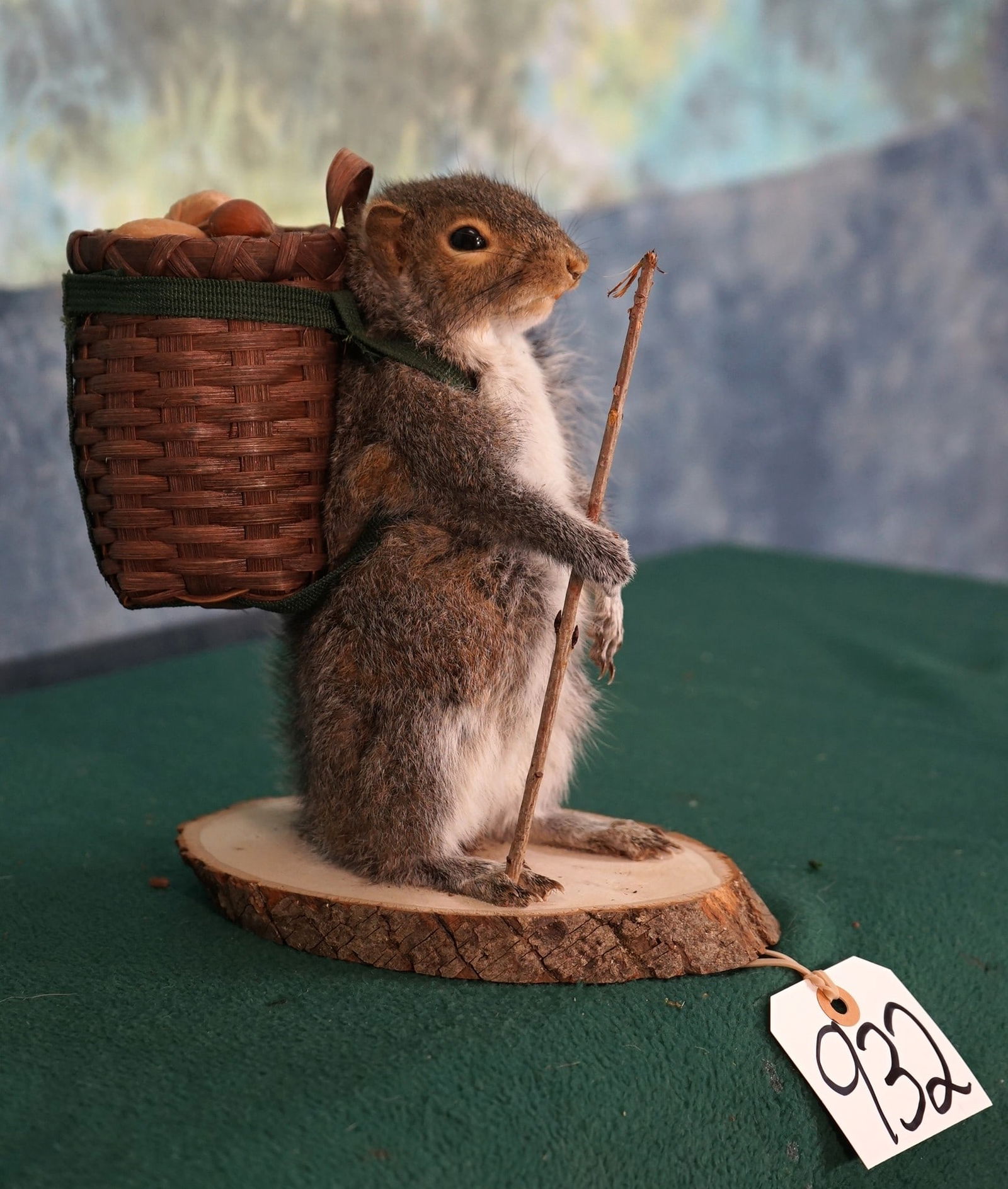 Full Body Squirrel Packing Out Nuts Novelty Taxidermy Mount (1 of 2)