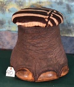 African Elephant Footstool Taxidermy Mount **U.S. Residents Only!**