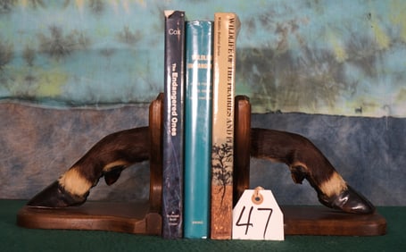 Pair of African Blesbuck Antelope Foot Bookends Taxidermy