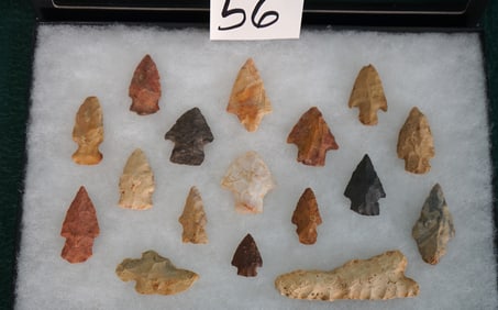 17 Authentic Woodland Archaic Native American Arrowheads and Spear Points in Display Case