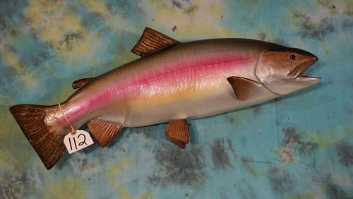 Brand New 29" Rainbow Trout Fiberglass Reproduction Taxidermy Fish Mount