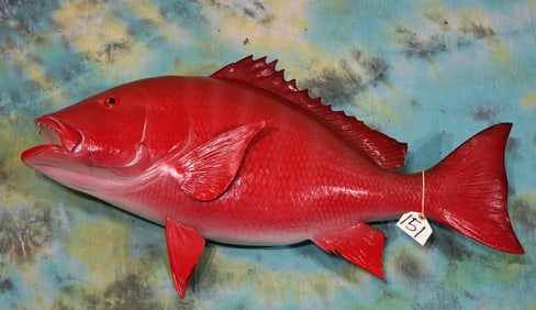 Brand New! 35 1/2" Red Snapper Fiberglass Reproduction Taxidermy Fish Mount