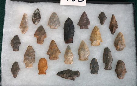 New Display Case of 21 Woodland & Archaic Authentic Arrowheads & Artifacts