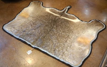 Half African Waterbuck Antelope Backskin Rug Taxidermy