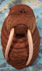 Awesome Real Skin & Tusk Legal Pre-1972 Marine Mammal Act Walrus Shoulder Taxidermy Mount
