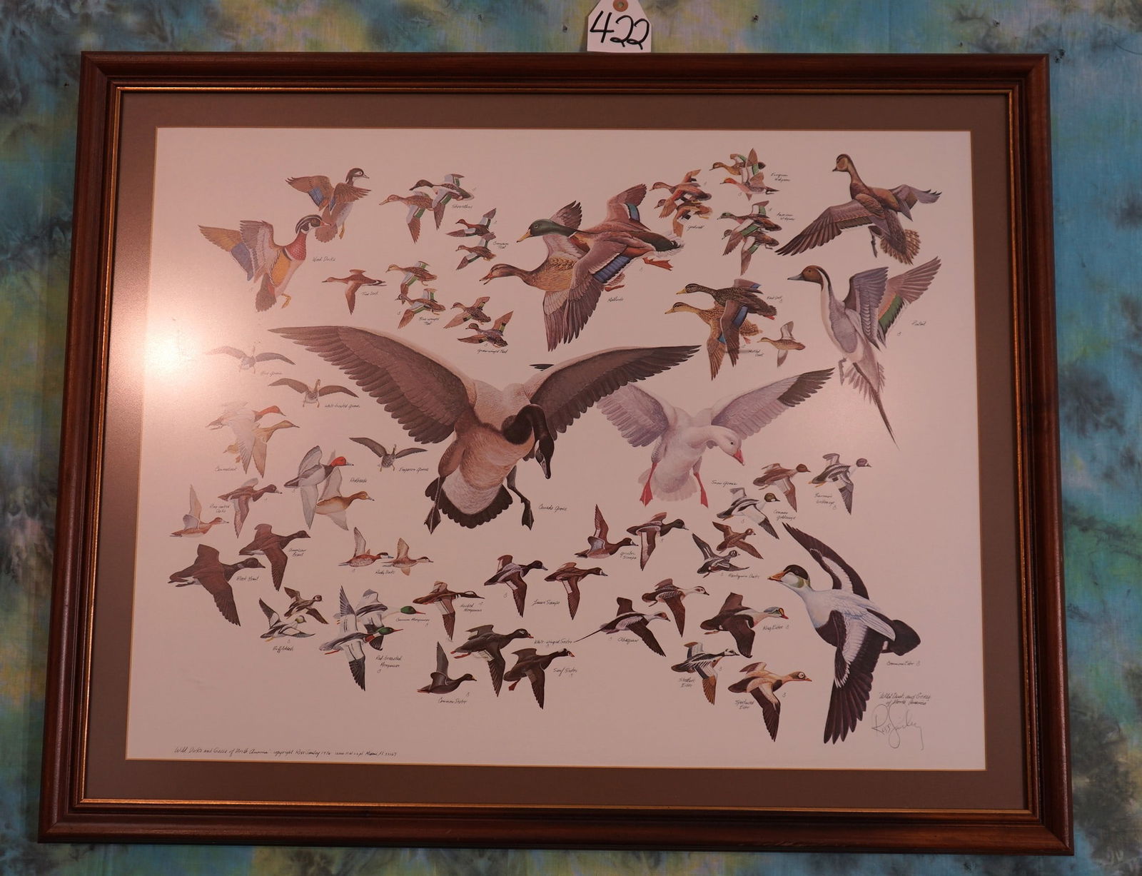 Framed Print of the North American Wild Ducks & Geese (1 of 2)