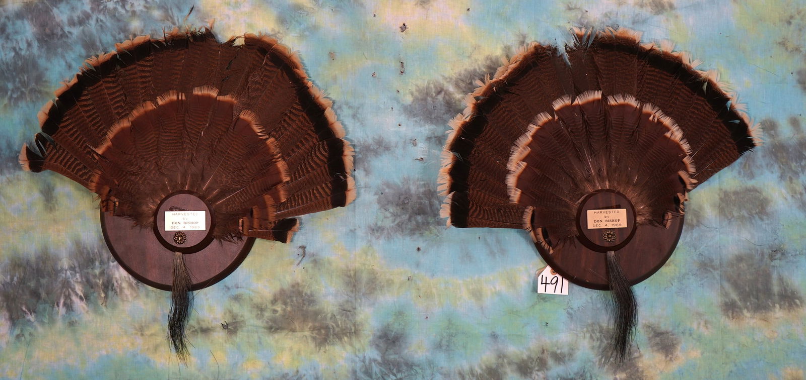 Two Wild Turkey Tail & Beard Mounts on Panels Taxidermy (1 of 1)
