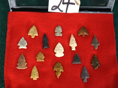(15) Authentic Bird Point Arrowheads in Display Case from Illinois & Indiana