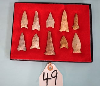 (10) Authentic Early Archaic and Paleo Artifacts Arrowheads in Display Case