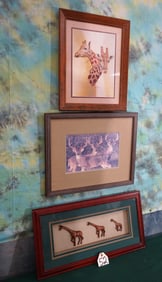 Two Framed Giraffe Prints and one Whitetail Deer Framed Print