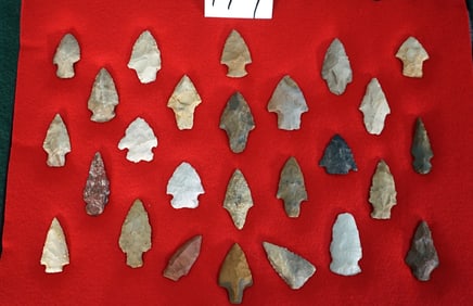 Large Display Case of 26 Authentic Archaic and Woodland Period Spear Points and Arrowheads
