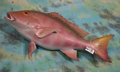 32 1/2" Dog Snapper Fiberglass Reproduction Taxidermy Saltwater Fish Mount