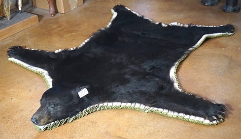 Black Bear Rug "Closed Mouth"Taxidermy Mount