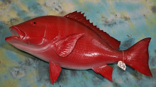 36" Brand New Red Snapper Fiberglass Reproduction Taxidermy Whole Fish Mount