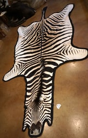 Beautiful Chapman's Zebra Rug Taxidermy Mount