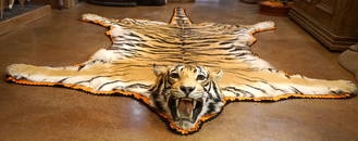 Super Awesome Bengal Tiger Taxidermy Rug Mount **TEXAS RESIDENTS ONLY!**