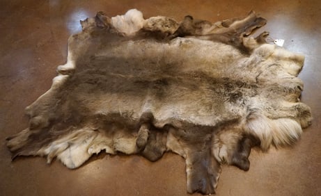 Pretty Soft Tanned Caribou Backskin Taxidermy