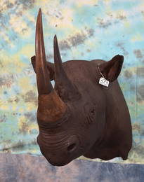 African Black Rhino with Real Skin & Horns Shoulder Taxidermy Mount **TEXAS RESIDENTS ONLY!**
