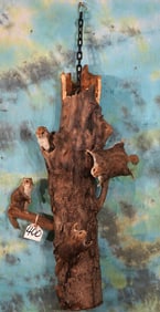 Family of Four Flying Squirrels Full Body Taxidermy Mounts in Habitat Taxidermy