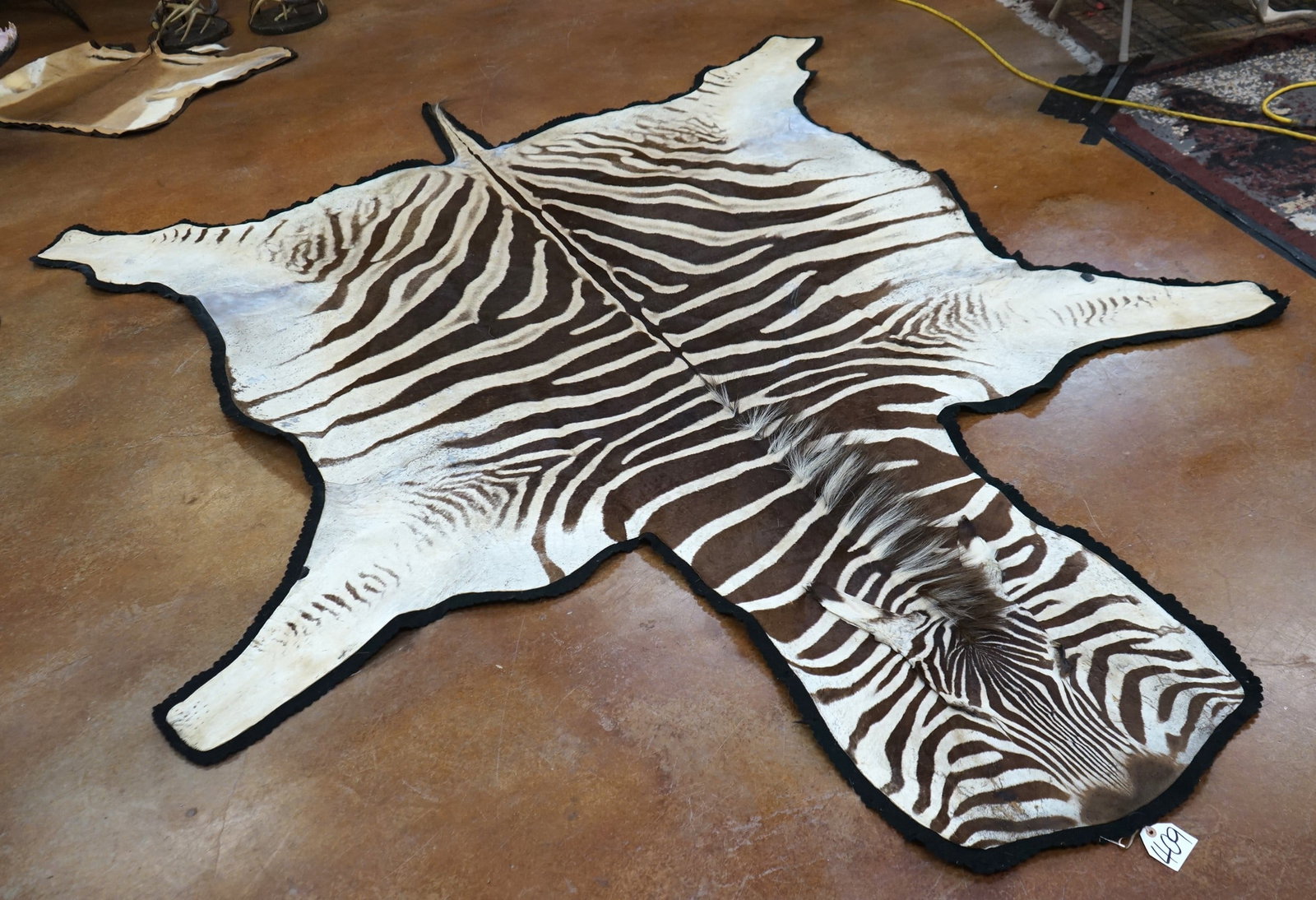 Nice Large Zebra Rug Taxidermy Mount (1 of 4)