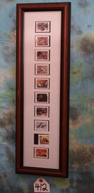 10 Upland Game Bird Stamps in Glass Frame