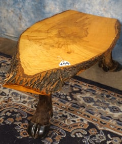 Cool Cape Buffalo Foot Coffee Table