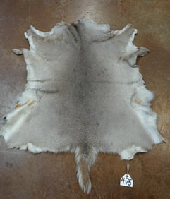 Soft Tanned Whitetail Deer Backskin Taxidermy