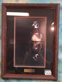 Very Nice Framed Wood Duck Print by Peter Mathios Print # 230 of 1,050